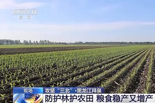 德甲-勒沃库森1-1多特终结14连胜 药厂先赛一场领先拜仁3分